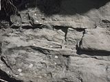 Fonti di Quara